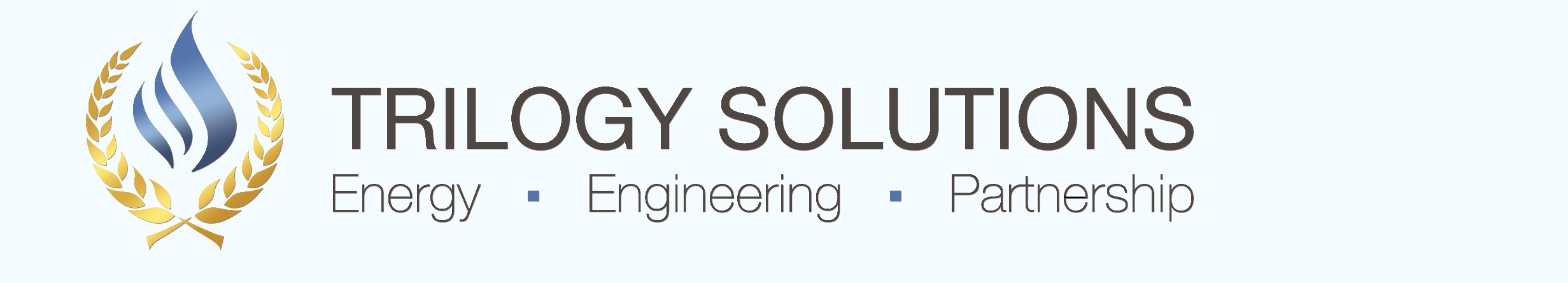      Trilogy Solutions
